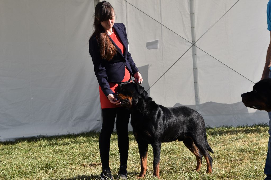 Medal of Honor Jyson - Très bon Non Classé