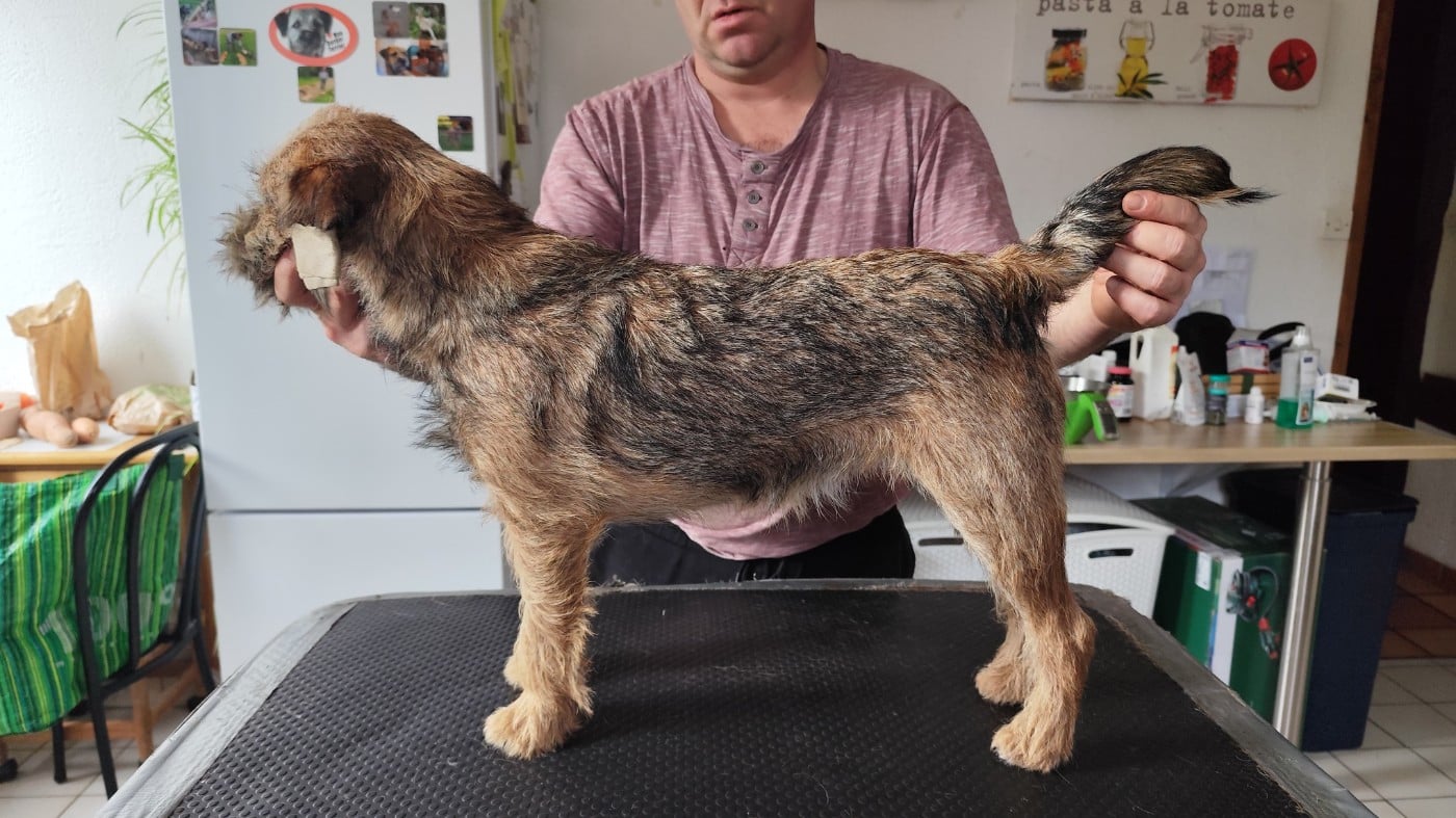 Publication : d'Hixa's Stories