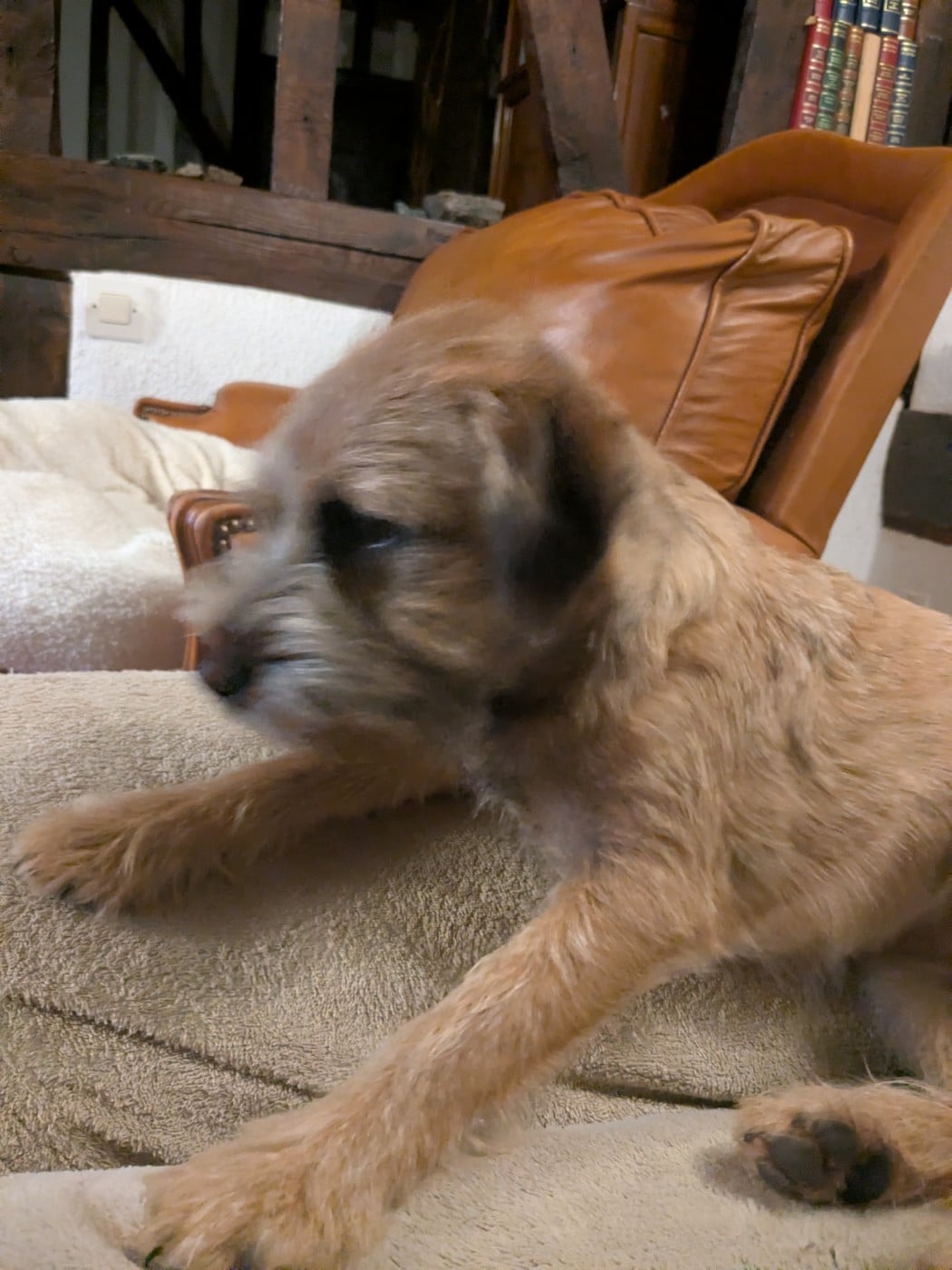 Publication : d'Hixa's Stories