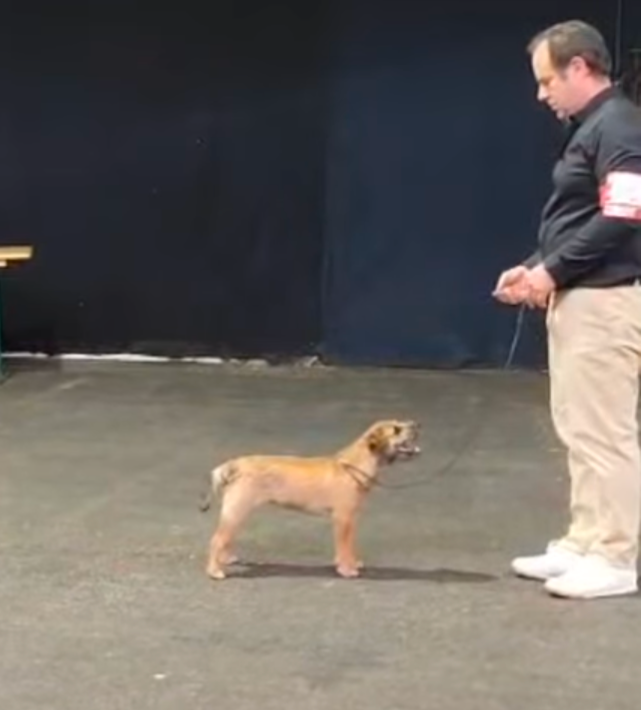 Publication : d'Hixa's Stories