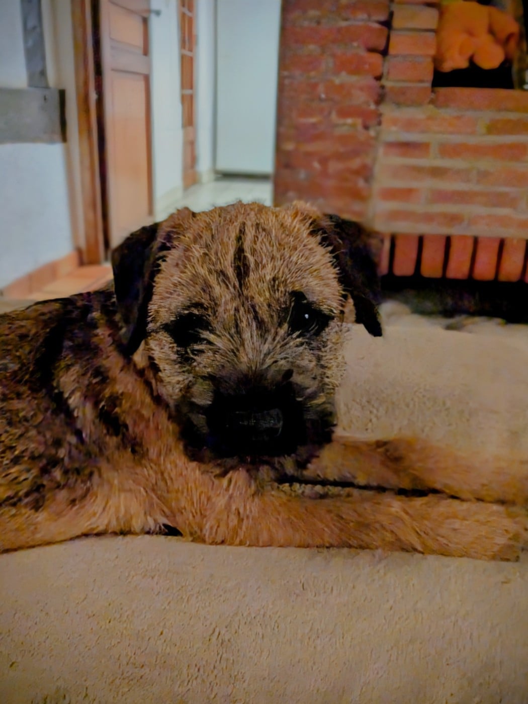 Publication : d'Hixa's Stories