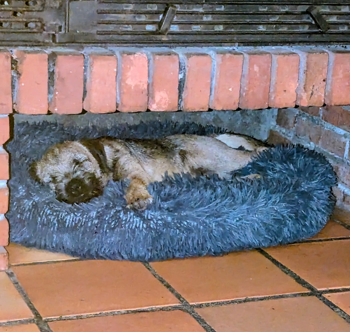 Publication : d'Hixa's Stories