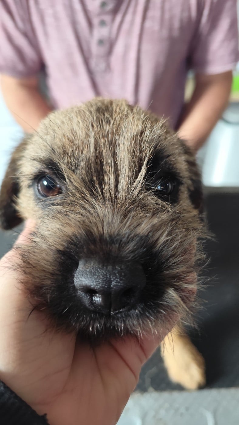 Publication : d'Hixa's Stories