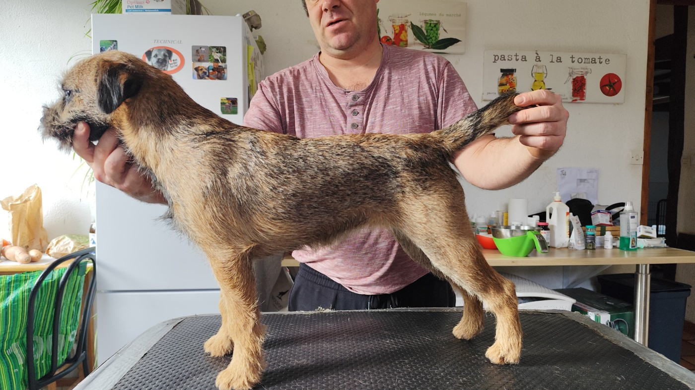 Publication : d'Hixa's Stories