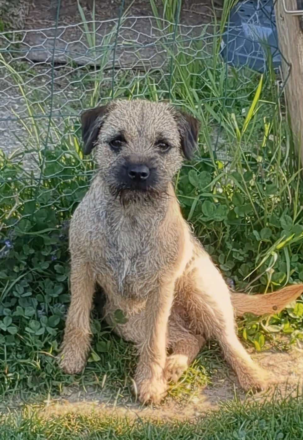 Another Brick In The Wall d'Hixa's Stories