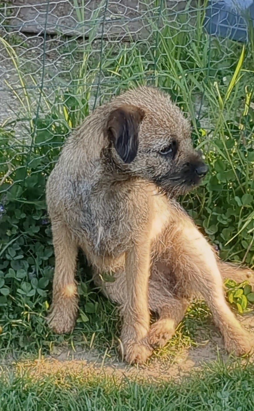 Another Brick In The Wall d'Hixa's Stories