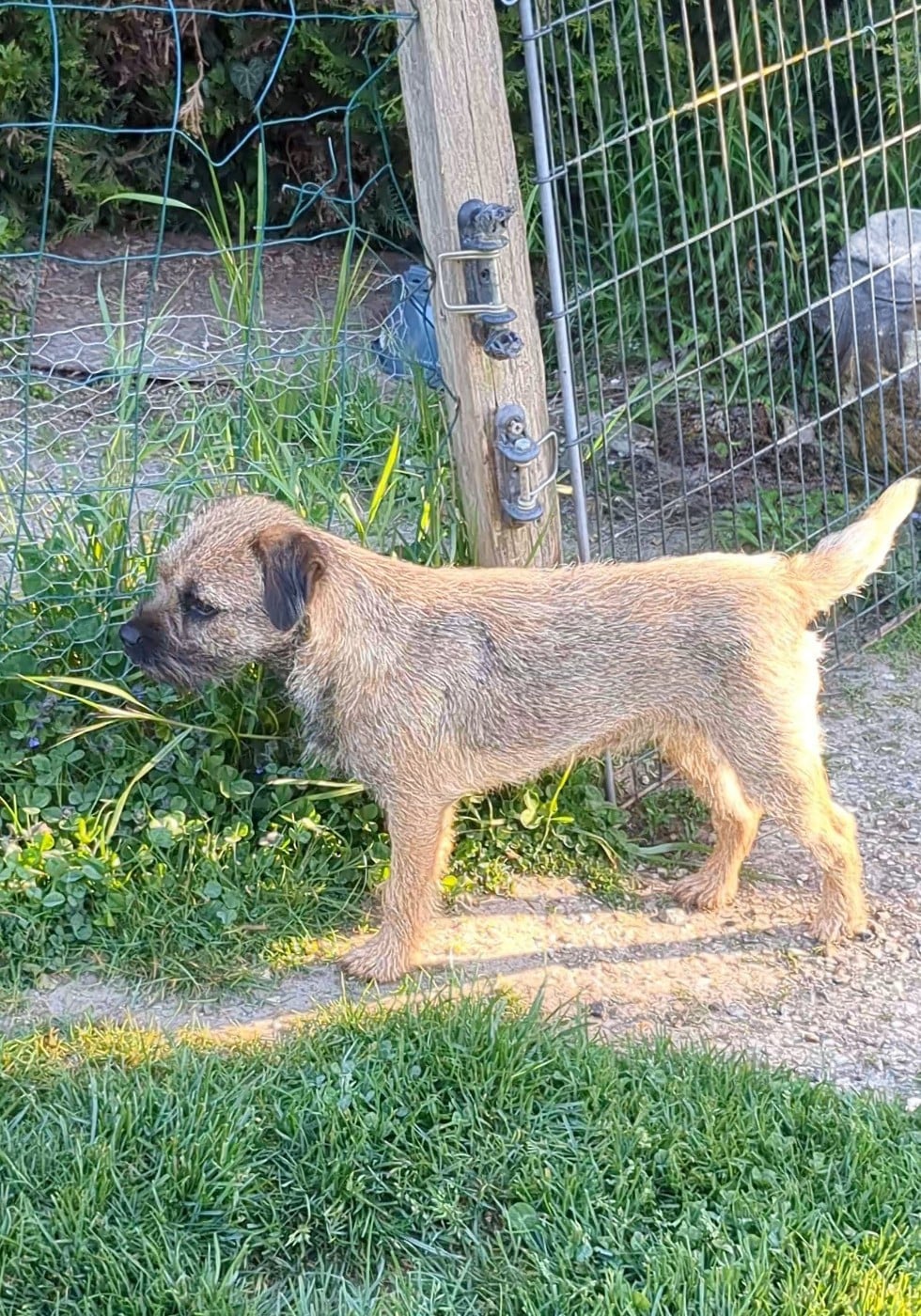 Another Brick In The Wall d'Hixa's Stories