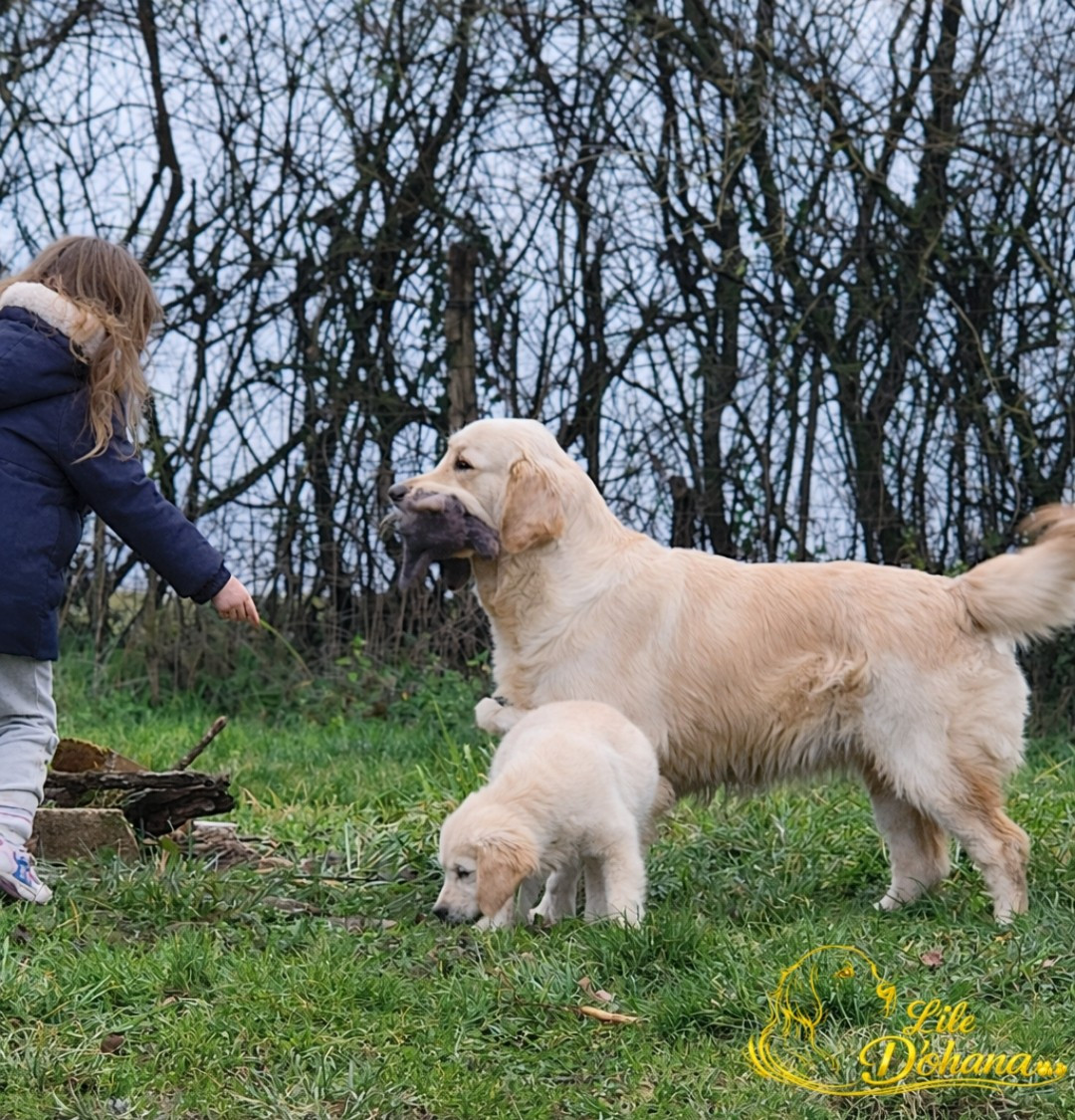 Venus Du Domaine Texan