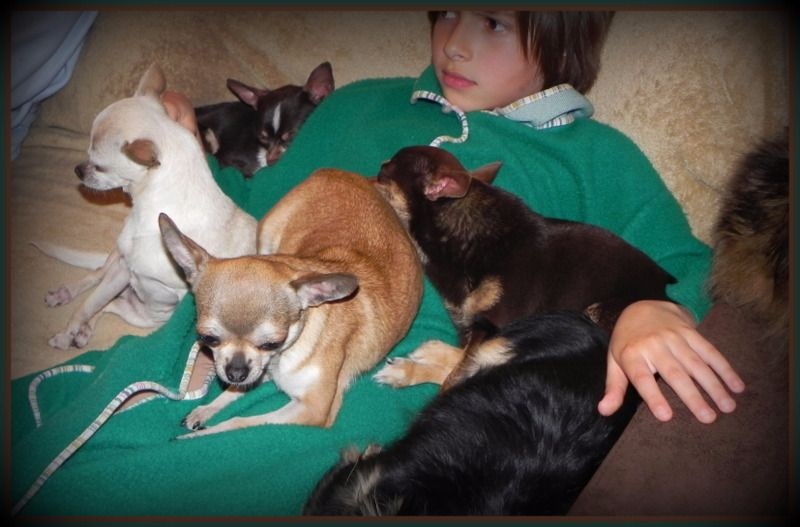 Publication : Des Petits Bikinis Auteur : Sandrine Caillaud