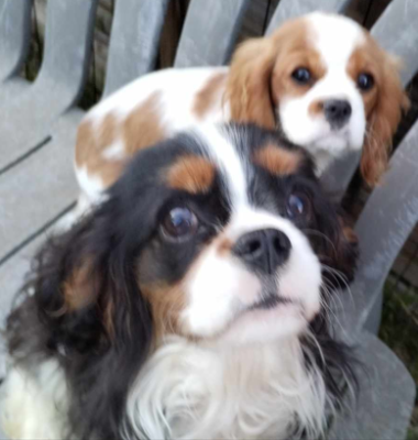 De La Vallée Du Sidobre