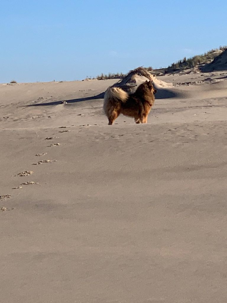 Umi Des Hauts De Chamboursat