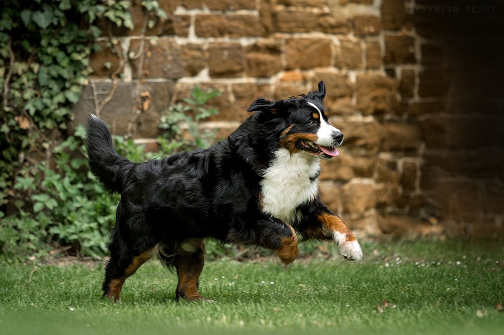 Lord Of Berners Orkaan