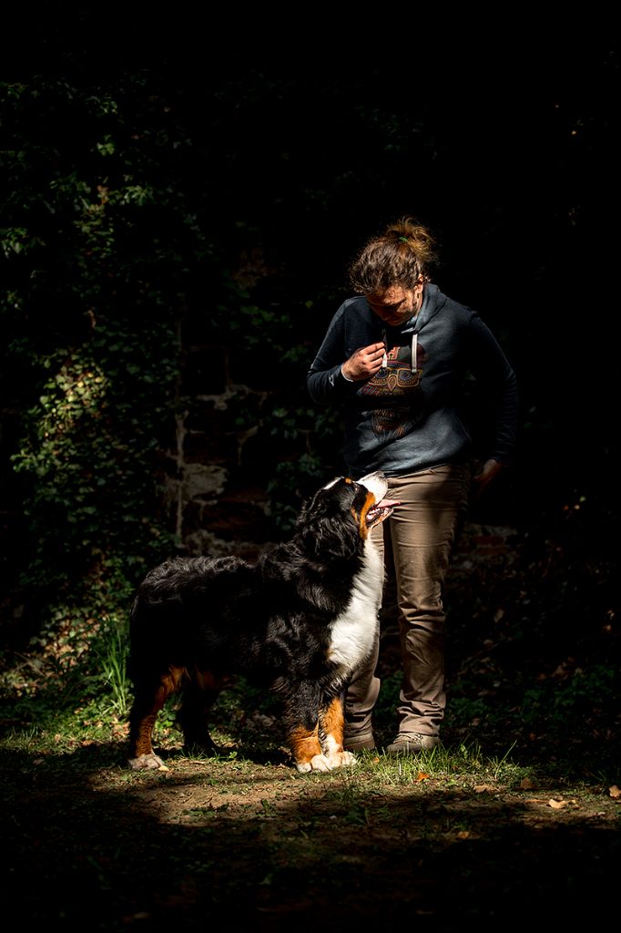 Lord Of Berners Orkaan