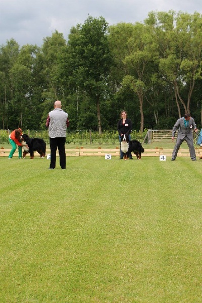 Lmarco de zandvijver - 3ème Excellent