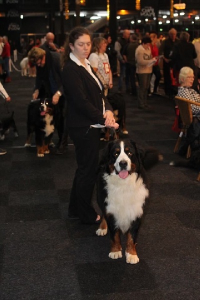 Lmarco de zandvijver - 2ème Excellent