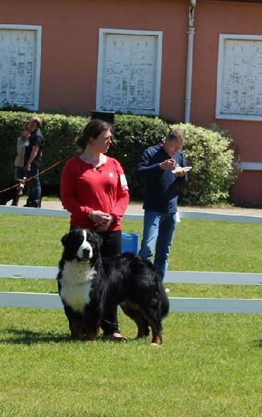 Lmarco de zandvijver - Excellent NC