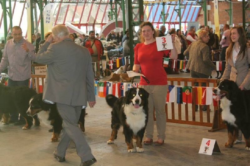 Lmarco de zandvijver - 3ème Excellent