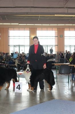 Lmarco de zandvijver - 4ème Très bon