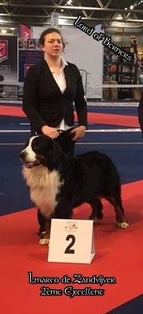 Lmarco de zandvijver - 2ème Excellent