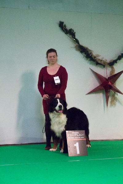 Lmarco de zandvijver - 1er Excellent RCACIB