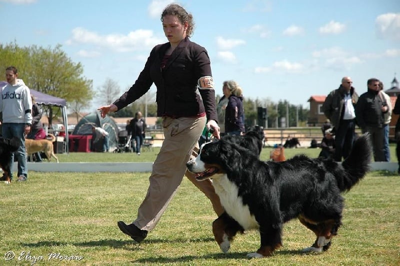 Lmarco de zandvijver - Excellent NC