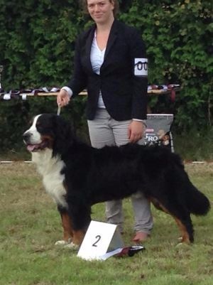 Lmarco de zandvijver - 2ème Excellent