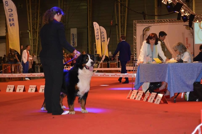 Lmarco de zandvijver - Excellent NC