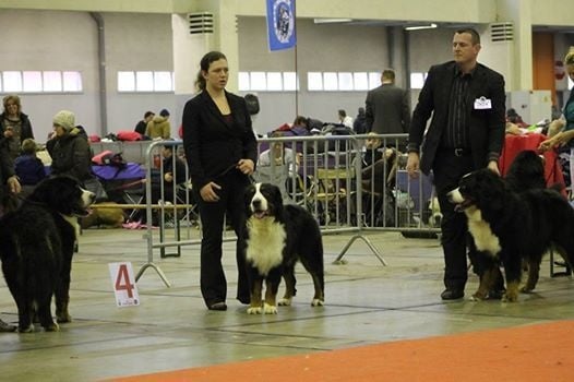 Lmarco de zandvijver - Excellent NC