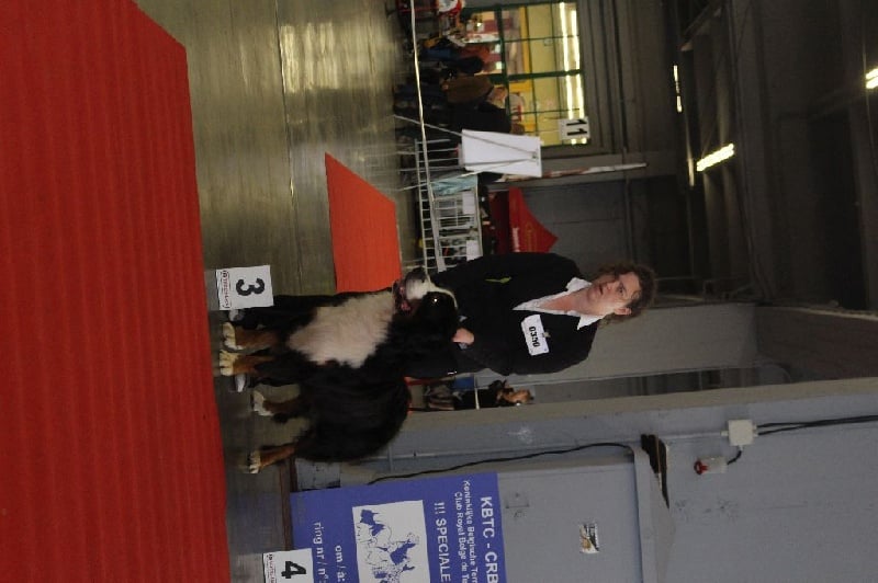 Lmarco de zandvijver - 3ème Excellent