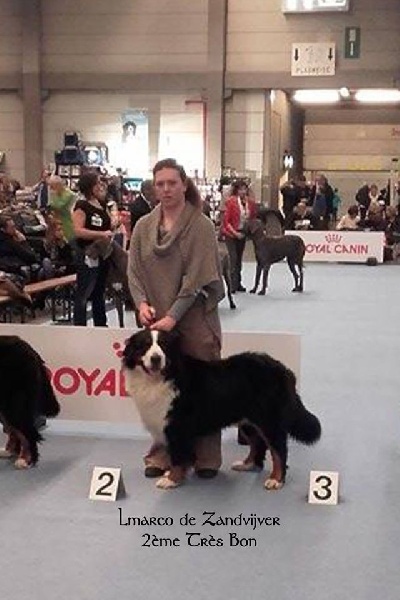 Lmarco de zandvijver - 2ème Très bon