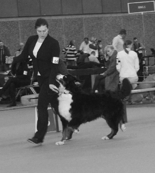 Lmarco de zandvijver - Très bon NC