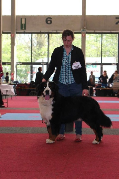 Lmarco de zandvijver - 3ème Excellent