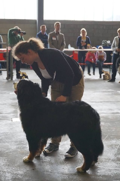 Lmarco de zandvijver - Très bon NC