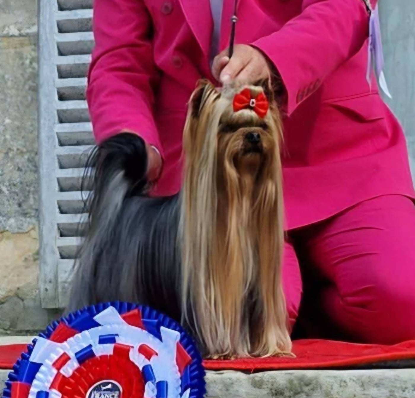 Publication : de la Ferme des Terres d'Argile