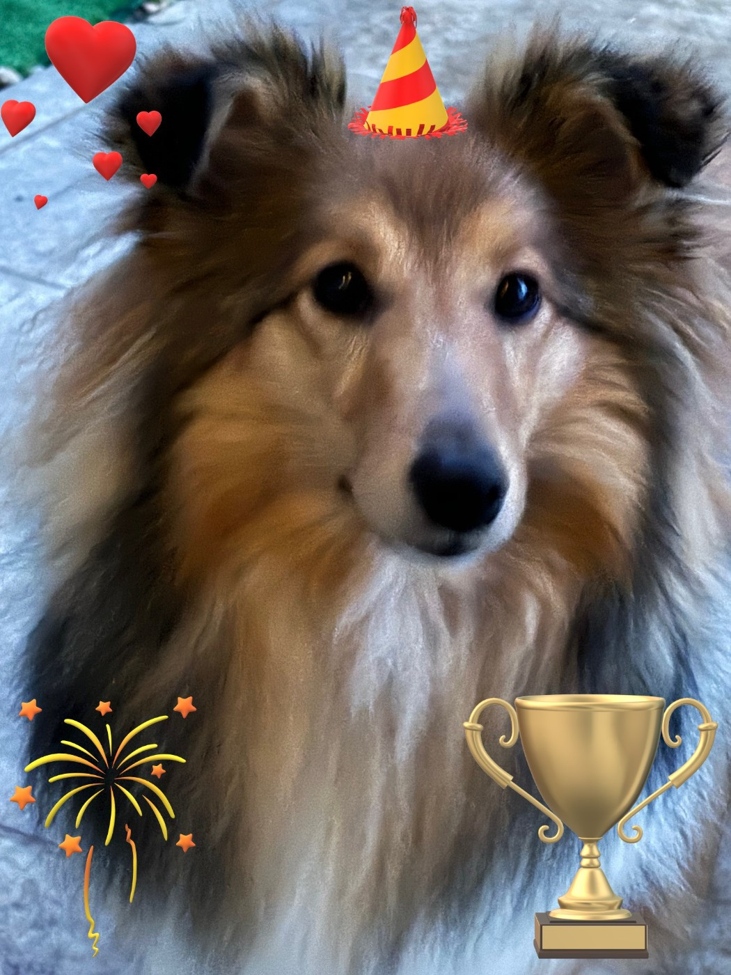 Sirius Lake Angelina Jolie