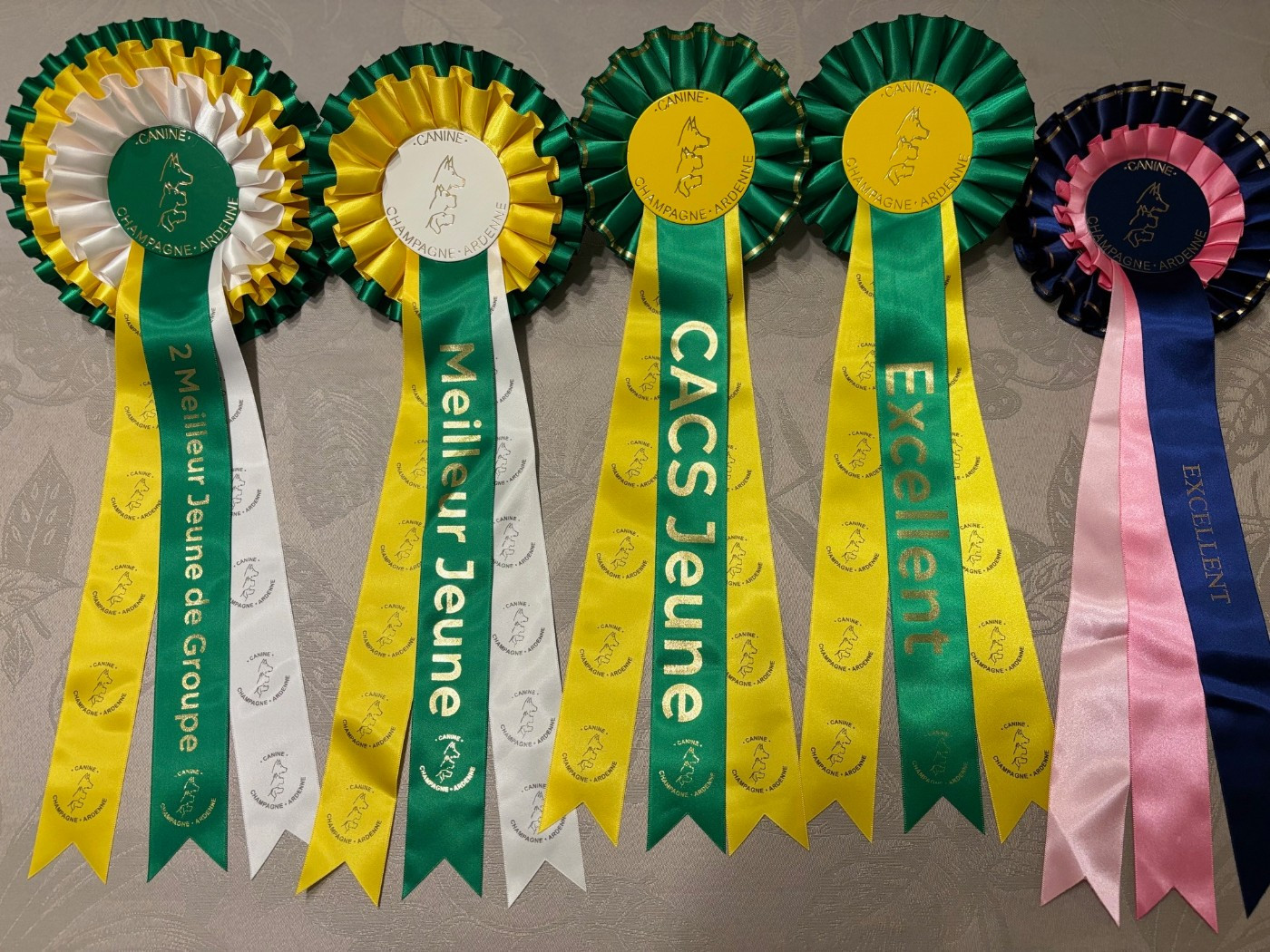 Sirius Lake Angelina Jolie