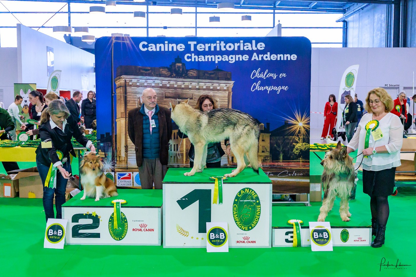 Sirius Lake Angelina Jolie