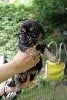 - Nouvelles photos des bébés d'Izaïa et Nours