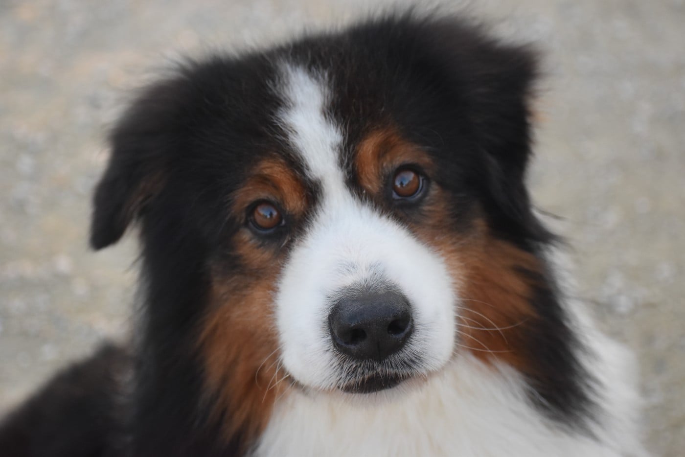 Ever Haling Open your heart i'm here aka owen