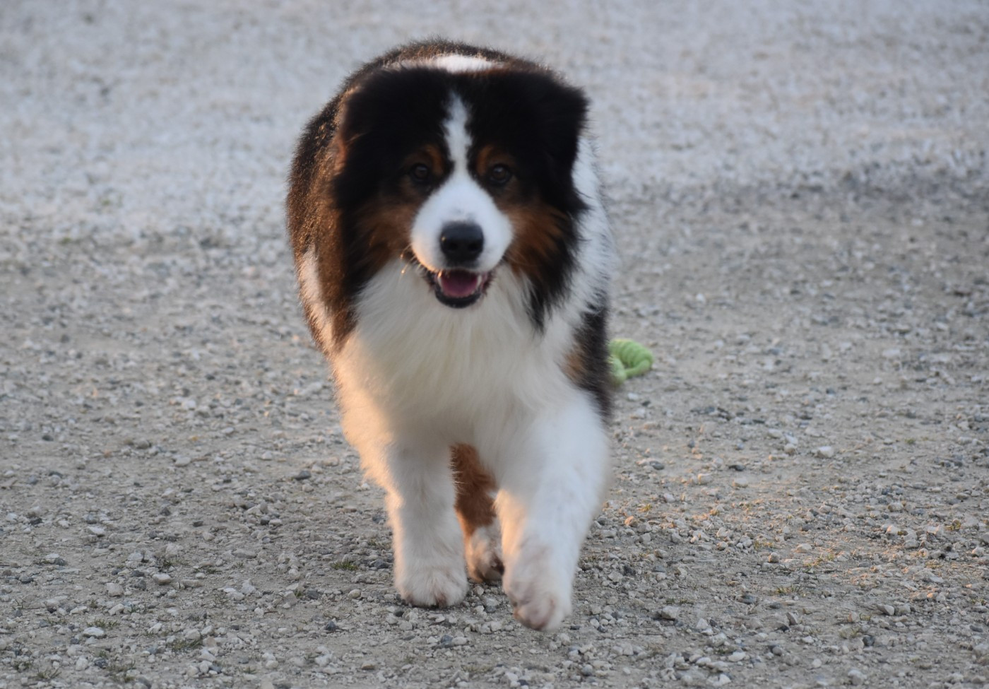 Ever Haling Open your heart i'm here aka owen