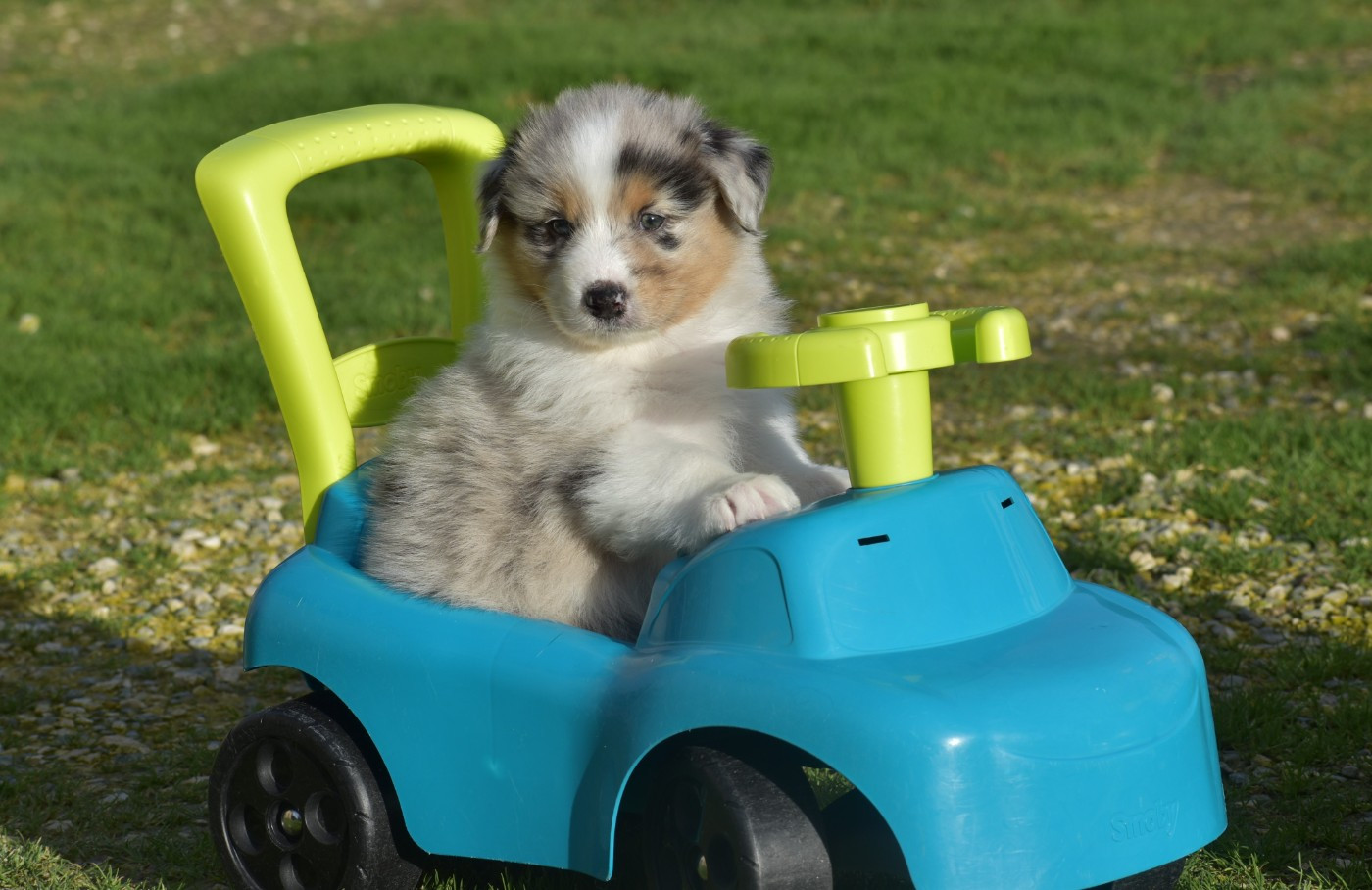 A LIGHT FROM ICE FOR MARLEY