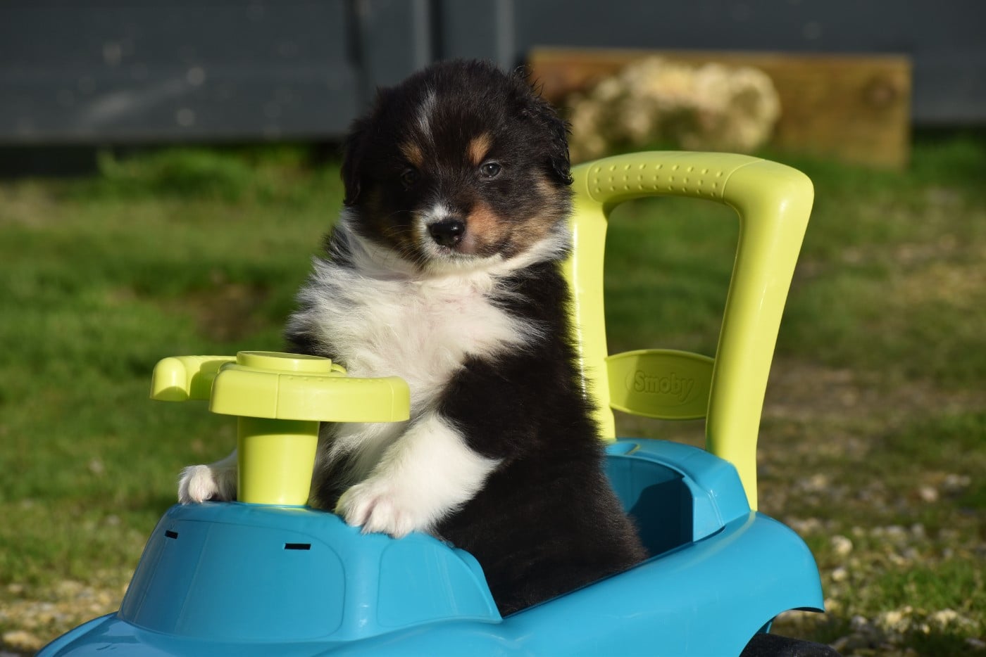 Berger Australien - Of Black Pearl Spirit