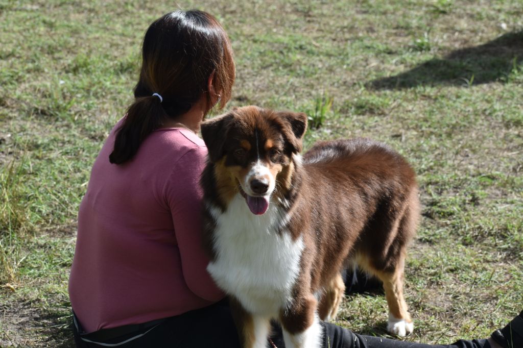 Paw patrol sky Of Black Pearl Spirit - EXCELLENT