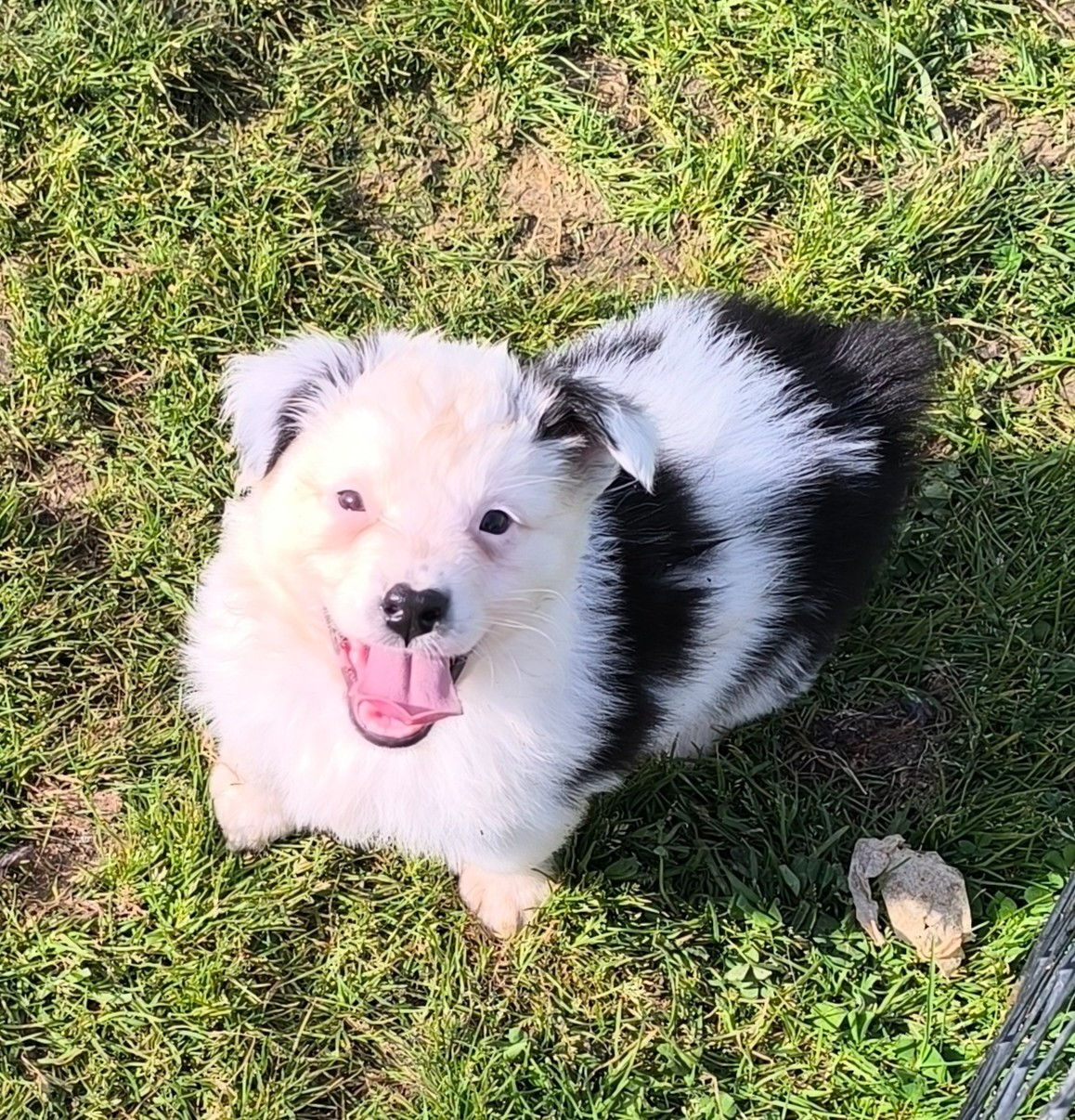 Bounty - Berger Australien