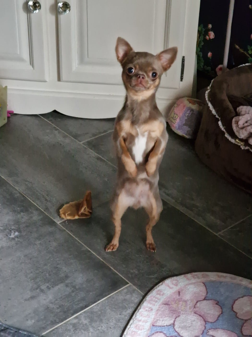 U 'Shine Like A Diamond Baby des ptits dragons de cupidon