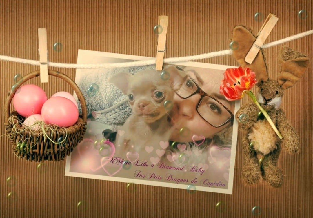 U 'Shine Like A Diamond Baby des ptits dragons de cupidon