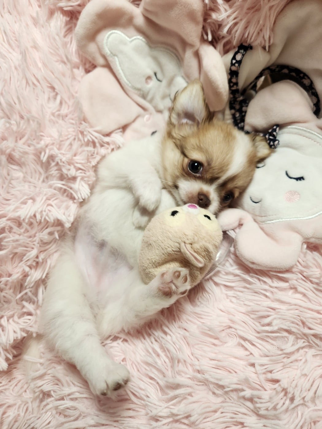 Be Mine