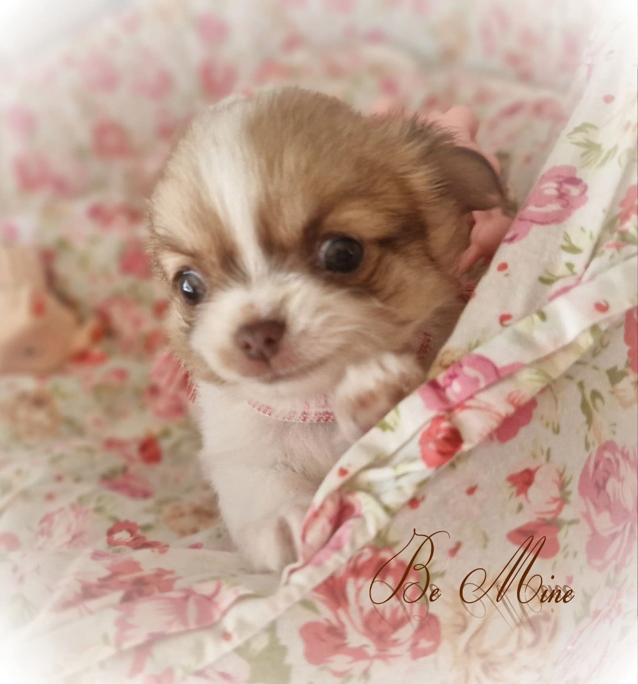 Be Mine