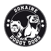 Du Domaine Du Doggy Dogs
