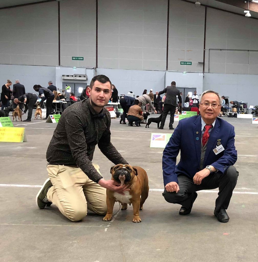 Bull's of Normandy Lara-croft - classe ouverte / 2eme excellent